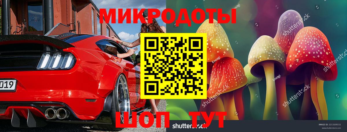 Псилоцибиновые грибы GOLDEN TEACHER Набережные Челны