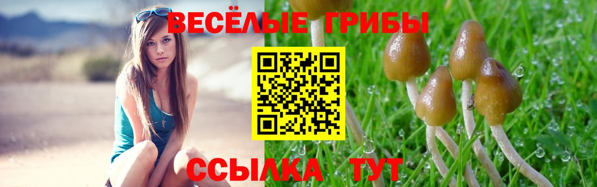 Набережные Челны  Псилоцибиновые грибы прущие грибы  Вход с VPN 